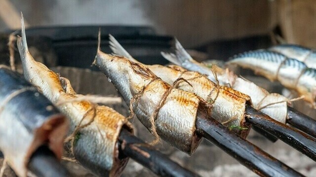 Средневековый пир и огненная битва: 3 интерактивные программы в поселении Кауп, ради которых стоит выбраться за город