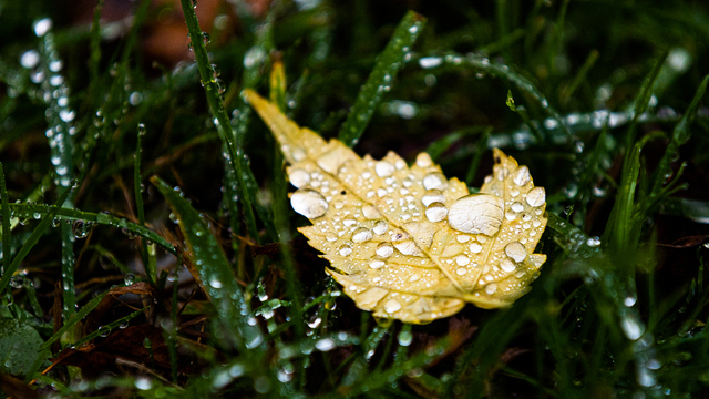 Не ходи в лес и присмотрись к закату: приметы на 24 апреля