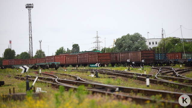 «Мы как школьники, которые прогуляли урок»: калининградский бизнес — о блокировках со стороны Россельхознадзора