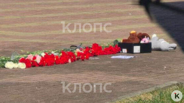 К зданию калининградской гимназии, где училась погибшая 14-летняя ученица, несут цветы и игрушки (фото)  