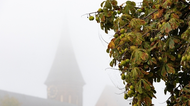 «Хотим избежать закрытия»: директор Кафедрального собора — о реконструкции здания  