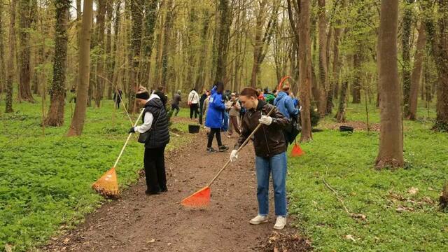 Калининград присоединился ко Всероссийскому субботнику: на городских территориях высадили новые пихты