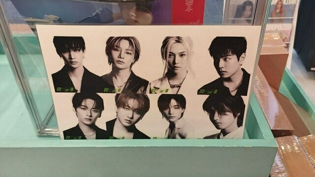 Всё дело в клешнях: учёные назвали род древних клопов в честь K‑pop группы Stray Kids