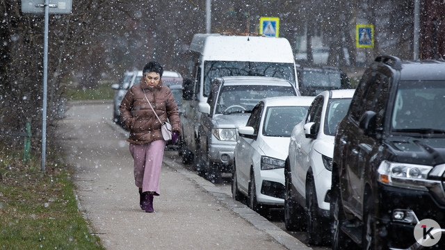 Холодно и мокрый снег: погода в Калининграде и области в воскресенье, 26 апреля  