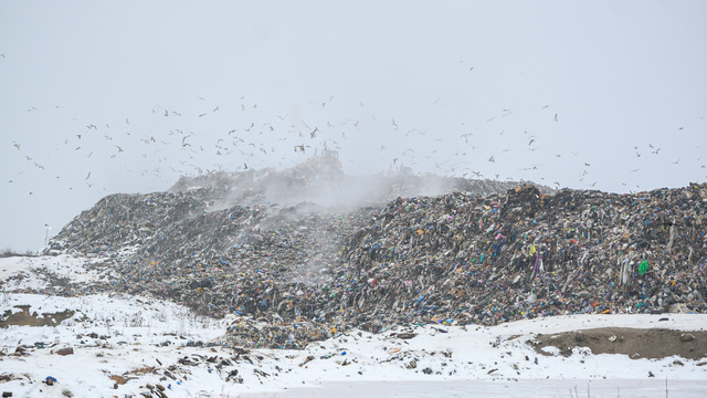 Пять новых объектов и 1,9 млрд рублей: в Калининградской области обновят систему обращения с отходами