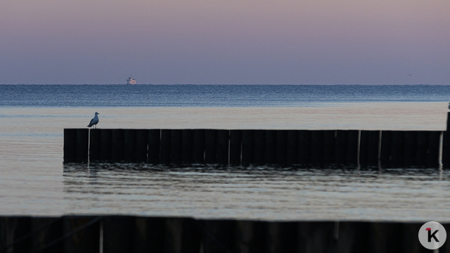 В Пионерский в майские праздники зайдёт паром «Антей»