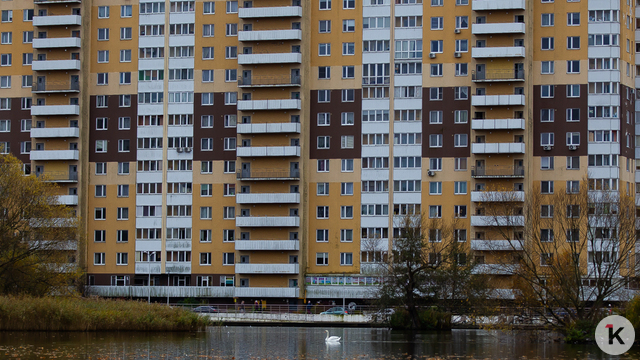 Снять квартиру и уехать в Таиланд: какие услуги стали доступнее калининградцам в марте  