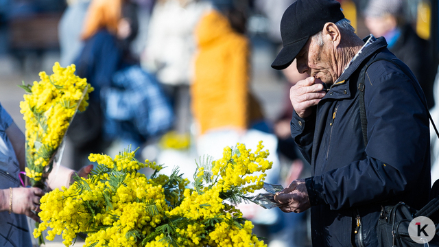 Цветы стали дороже, а платья — дешевле: как изменились в марте цены на промтовары в Калининградской области  