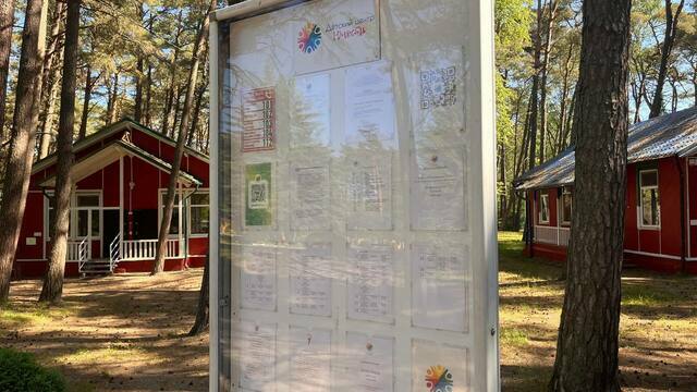 За первые 30 секунд калининградцы подали 1 600 заявок в детские лагеря — Дятлова