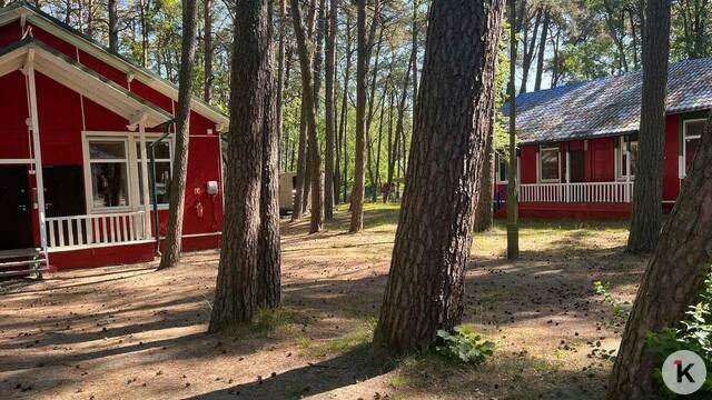 В лагерях Калининградской области в 2025 году отдохнули почти 48 тысяч детей, из других регионов приехали 288  