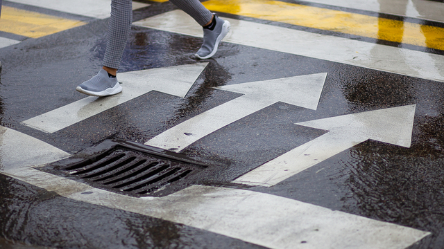 Дятлова поручила разобраться с авариями на зебрах Калининграда