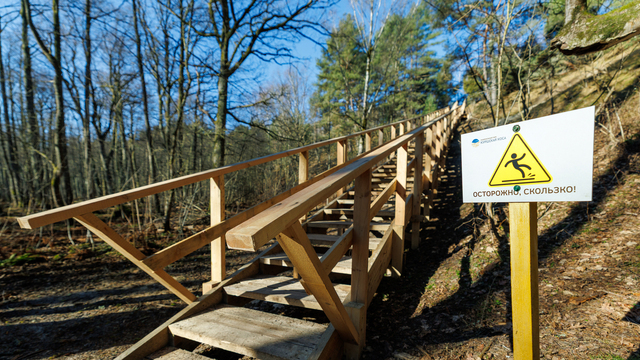 За собаку без поводка в нацпарках оштрафуют