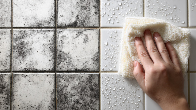 Чистота и порядок на раз-два: делимся 5 народными способами вытравить чёрную плесень в ванной 