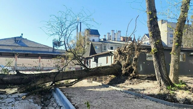 «Грубо делают дорогу, корни рубят понемногу»: музыкальный дайджест калининградских новостей за неделю (видео) 