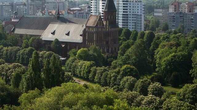 Калининград попал в десятку популярных направлений для апрельского отдыха рядом с лесом или парком