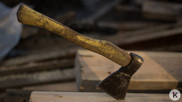 «Я еле уворачивался от ударов»: в Багратионовском районе конфликт соседей закончился нападением с топором (видео)  