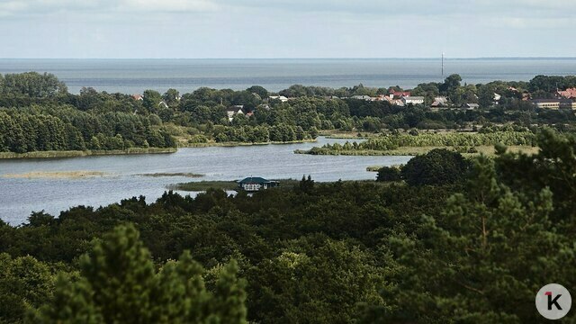 Проведение общественных слушаний по «Стене смерти» на Куршской косе в будни устроено сознательно — орнитолог  