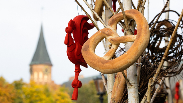 Маркеты, выставки и открытие мотосезона: события в Калининграде для тех, кто не хочет потратить слишком много денег