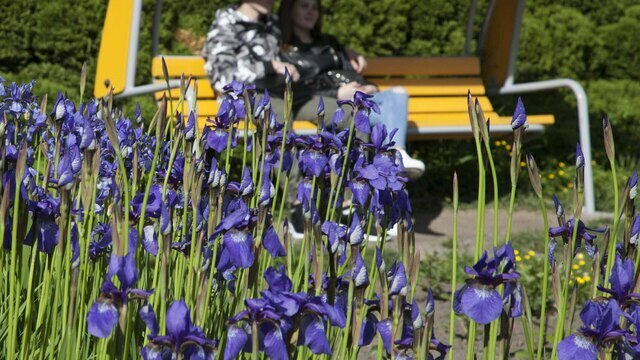 Отложи генеральную уборку и не бери деньги в долг: приметы на 3 мая