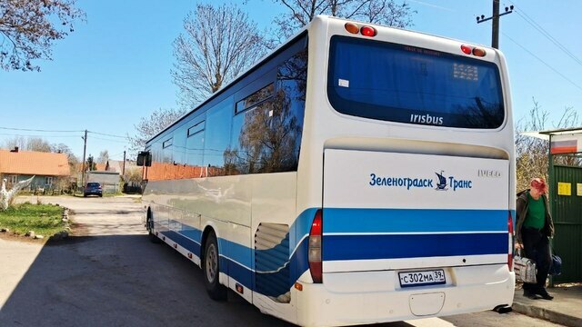 После скандала в автобусе Калининград — Зеленоградск, откуда высадили детей с собакой, начата служебная проверка