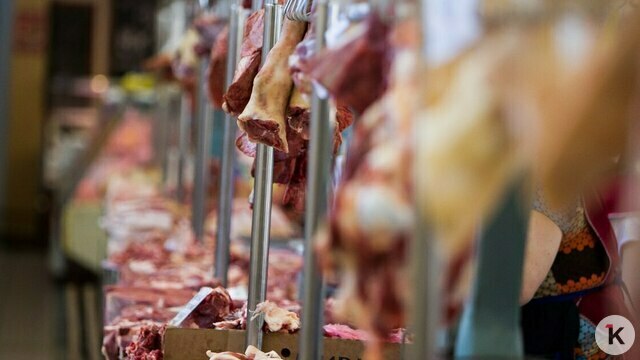 В Калининградской области выросло производство мяса и яиц, а рыбная отрасль нарастила обороты  