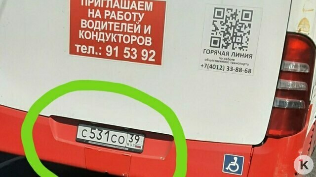 Табло врёт, павильон в кустах: что снова не так с общественным транспортом в Калининграде