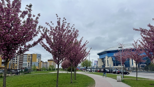 На вторых майских праздниках калининградцев ждёт один день лета
