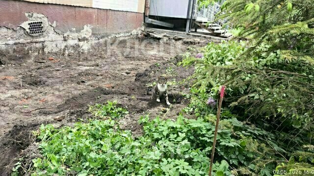 При реконструкции Галицкого у дома уничтожили отмостку, жильцы опасаются повреждения здания (видео)  