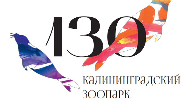 Книжный фестиваль и юбилей зоопарка: ТОП-13 событий в Калининграде и области