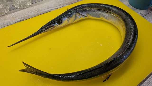 Даже моряки боятся есть этого монстра: как вкусно пожарить саргана, чтобы мясо было нежным, а корочка — хрустящей