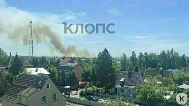 Клубы дыма видны за несколько километров: на окраине Калининграда полыхает камыш (видео)  