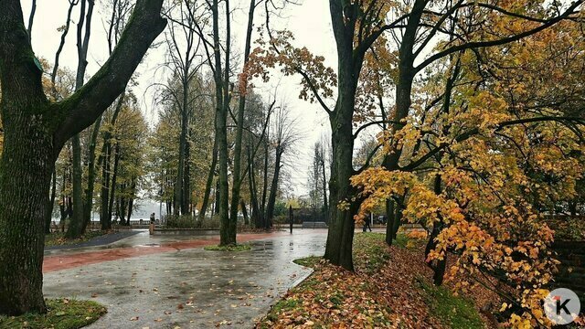 Амфитеатр с прекрасным видом в центре Калининграда появится позже запланированного