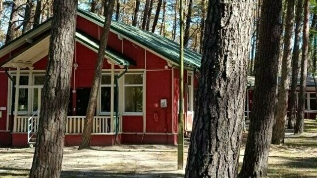 Гектар за забором: в Светлогорске хотят расширить лагерь «Юность» 