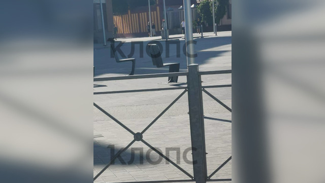 Власти Советска объяснили причину появления странных стульев в центре города  