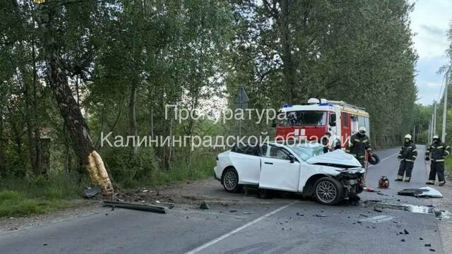 Выживший пассажир отделался ушибами: что известно о ДТП в Светлом, где погибли водитель и пассажирка  