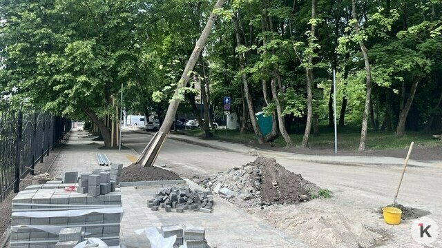 Теперь это не просто проезд: Дятлова рассказала о появлении новой улицы в центре Калининграда (фото)