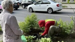 В Калининграде разгорелись страсти из-за цветочной клумбы, которую убрали ради расширения остановки