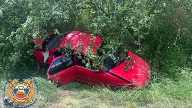 В Багратионовском районе BMW вылетел с трассы в кювет, пострадали 4 человека