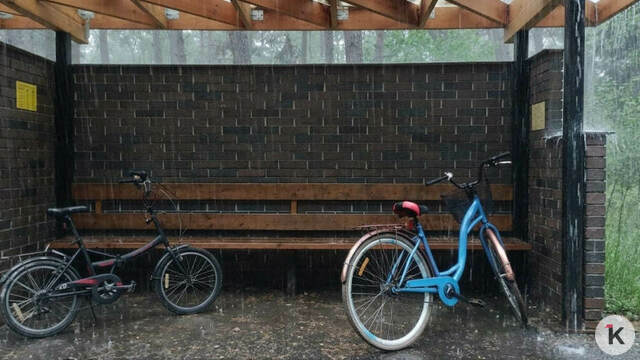 «Вещи сушим до сих пор»: на Куршской косе водитель автобуса №210 отказался везти пассажиров с велосипедами 