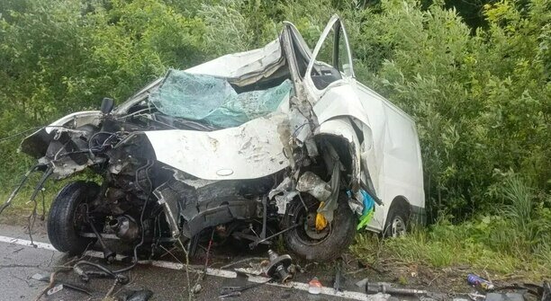 На Люблинском шоссе микроавтобус врезался в дерево, водитель погиб (обновлено)