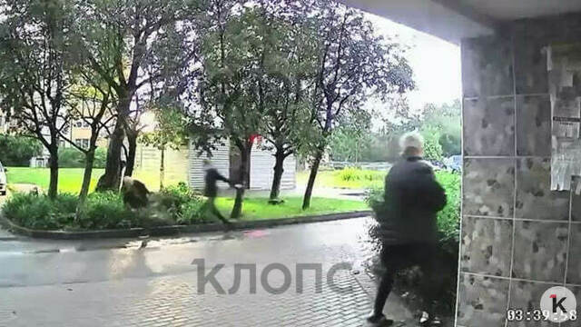 В калининградском дворе произошла драка, переросшая в поножовщину: ранены несколько человек, один — в коме (видео)  