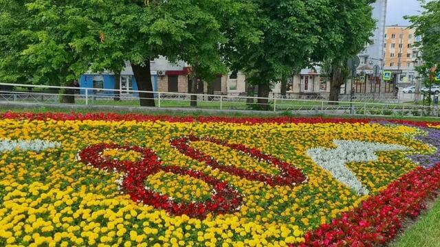 В Калининграде появились юбилейные клумбы: адреса