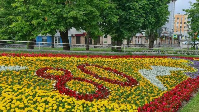 Моем, косим, убираем: власти рассказали, как готовят Калининград к Дню города