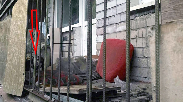 «Всё в грязи, собака воет»: в Калининграде дворнягу уже месяц держат взаперти на балконе (видео)