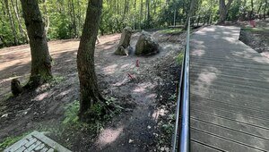 В Пионерском День города впервые начнут отмечать у Камня лжи и откроют необычный маршрут к морю