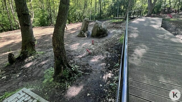 В Пионерском День города впервые начнут отмечать у Камня лжи и откроют необычный маршрут к морю