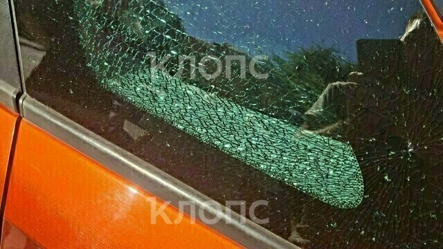 Калининградцу разбил окно в машине камень, вылетевший из-под косилки на въезде в Зеленоградск