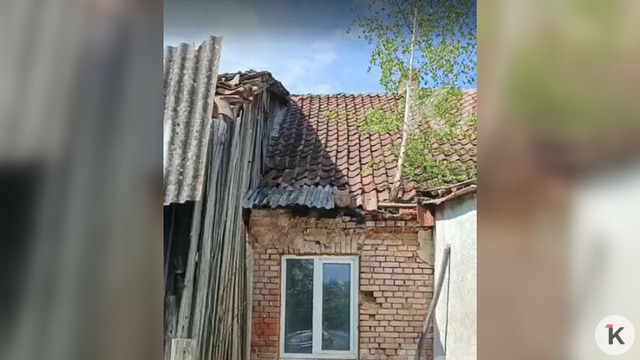 В Большаково на крыше жилого дома выросла берёза, протянув корни в квартиру сквозь ветхий потолок (фото) 