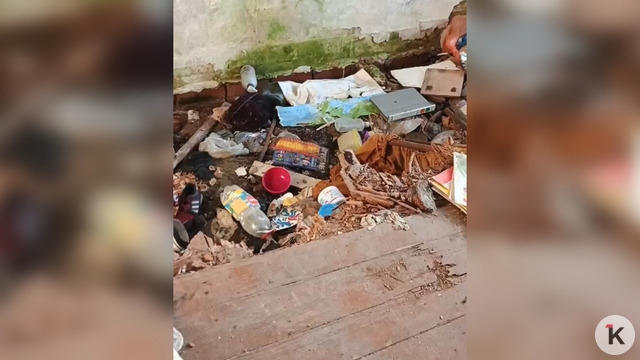 В Большаково на крыше жилого дома выросла берёза, протянув корни в квартиру сквозь ветхий потолок (фото) 