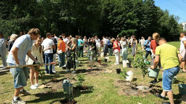 В Калининграде выпускники-медалисты высадили 150 кустов сирени у Летнего озера
